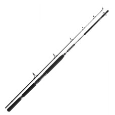 Спінінг Daiwa BG Popper 2.30m 40-150g