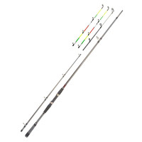 Вудлище Daiwa Seahunter X Variotip 2.70m 30-110g