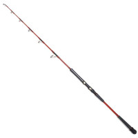 Спінінг Jigging Master Devil Fire 52SL rod/Jig 120~320gr PE3.0~6.0