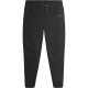 Picture Organic брюки Lenu Stretch Pants black XXL