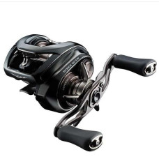 Котушка мульт. Daiwa 24 Steez SV TW 100XHL