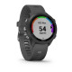 Смарт-годинник Garmin Forerunner 245 сірий