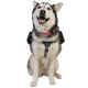 Ultimate Direction рюкзак для собак Dog Vest black S