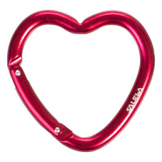Брелок Salewa Heart Carabiner, 00-00014482, uni