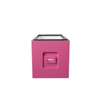 Корпус пінополістирольний до 6-ти рамкового вулика Дадан фарбований (рожевий)