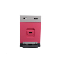 Вулик пінополістирольний для вирощування пакетів Дадан на 6 рамок (пластикове дно) фарбований рожеви