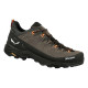 Кросівки Salewa Alp Trainer 2 GTX Mns, УТ-00018131-953, 41