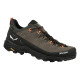 Кросівки Salewa Alp Trainer 2 GTX Mns, УТ-00018131-953, 44