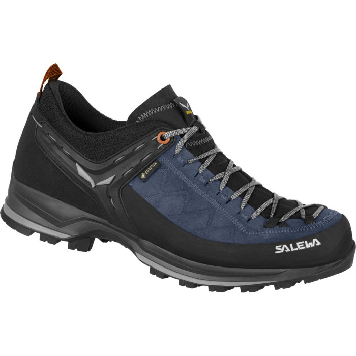 Кросівки Salewa MS MTN Trainer 2 GTX, 2490, 43