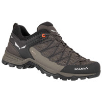 Кросівки Salewa MS MTN Trainer Lite GTX, УТ-00002259-512, 41