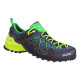 Кросівки Salewa MS Wildfire Edge, УТ-00008425, 43