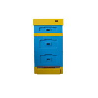 Вулик пінополістирольний Рута на 10 рамок Lyson з гігієнічним дном фарбований