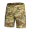 Multicam