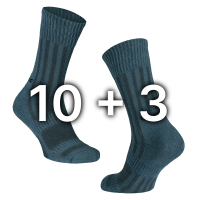 Комплект трекінгових шкарпеток TRK 2.0 Middle 10+3 Сірі (8342)